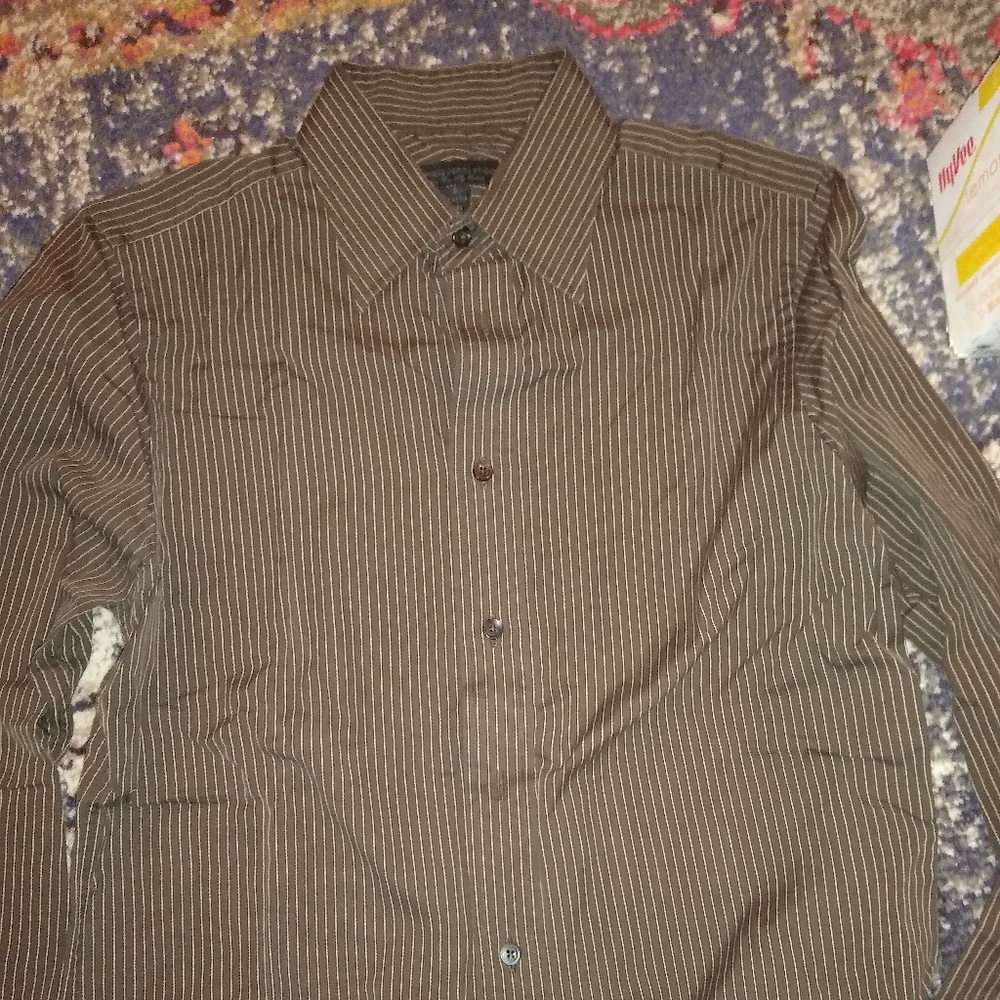 Express brown pinstripe button down